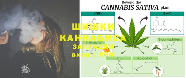 ГАЛЛЮЦИНОГЕННЫЕ ГРИБЫ Елизово