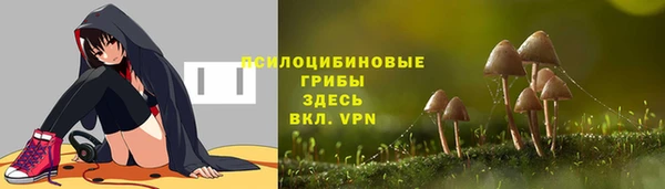 ГАЛЛЮЦИНОГЕННЫЕ ГРИБЫ Елизово