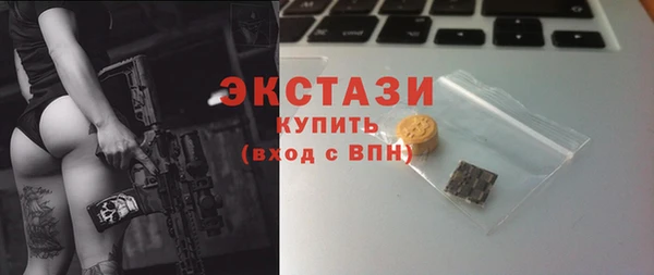 ECSTASY Ельня