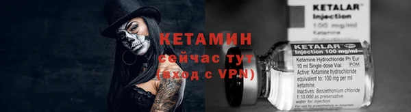 ECSTASY Ельня