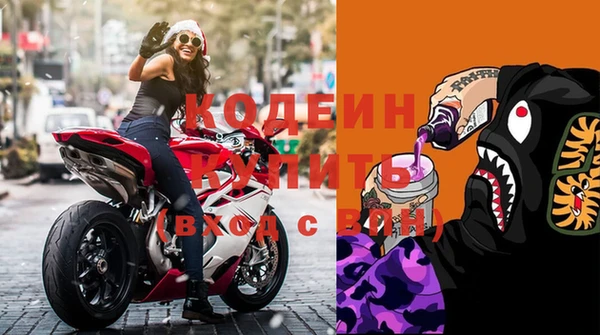 ECSTASY Ельня